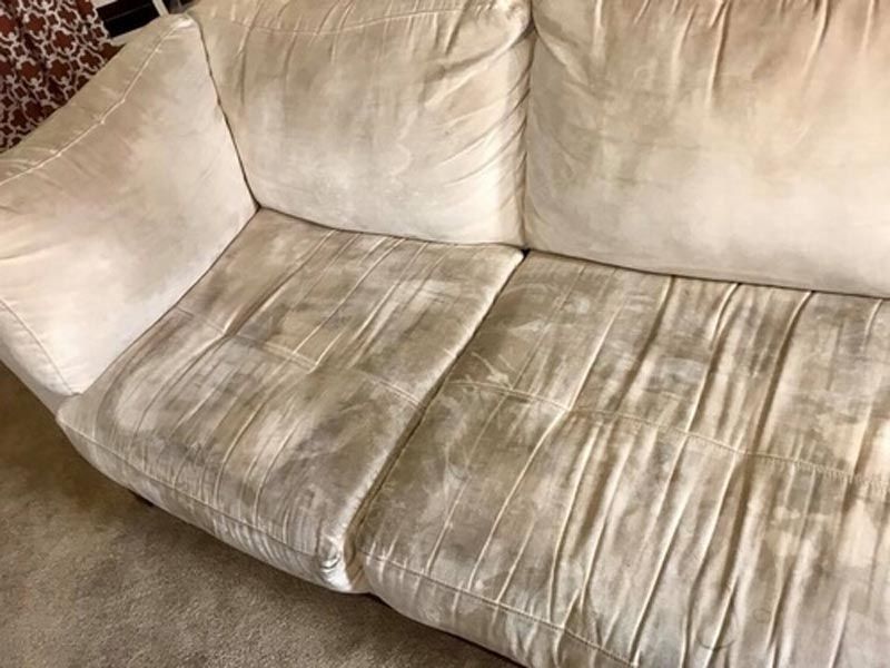 Upholstery Cleaning Castle Rock Co 1