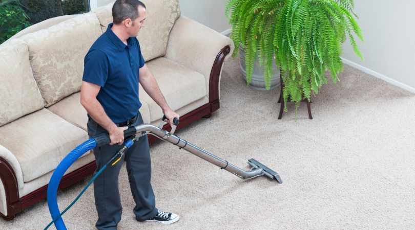 The Importance Of Professional Carpet Cleaning