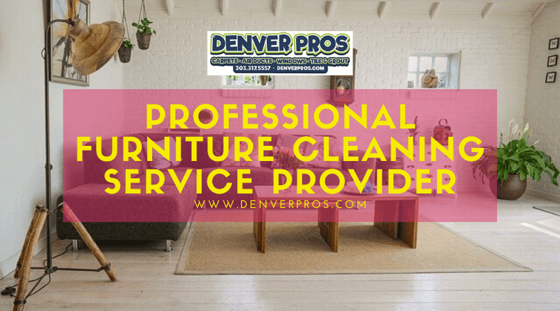 Professional Furniture Cleaning Service Provider