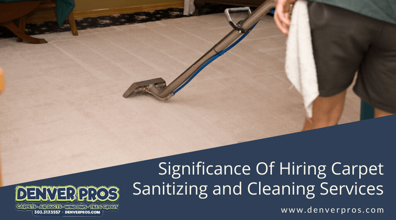 Carpet Sanitizing And Cleaning Services