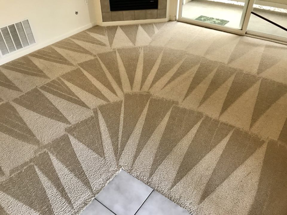 Carpet cleaning by Denver Pros