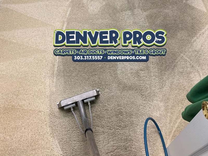 Denver Pros carpet cleaning