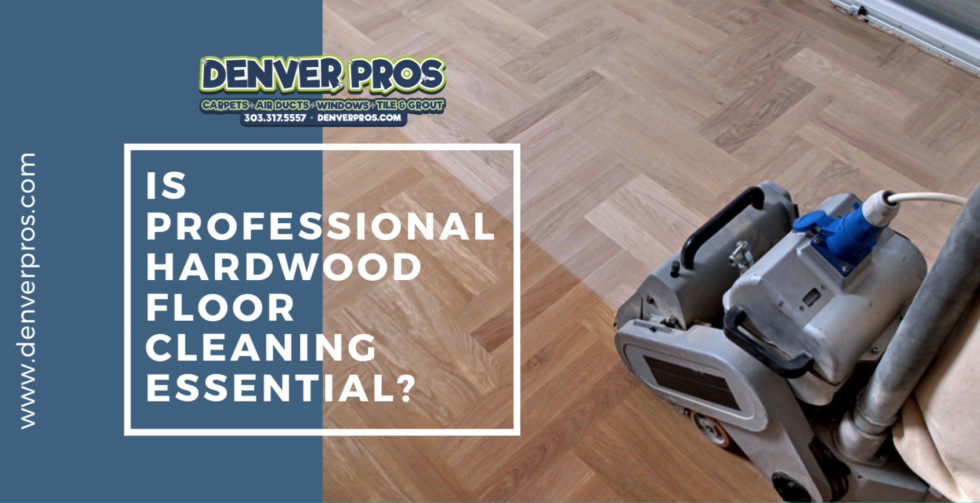 Is Professional Hardwood Floor Cleaning Essential? Denver Pros