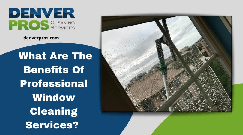 6 Benefits of Hiring a Professional Window Cleaner — Chatham Window Cleaning