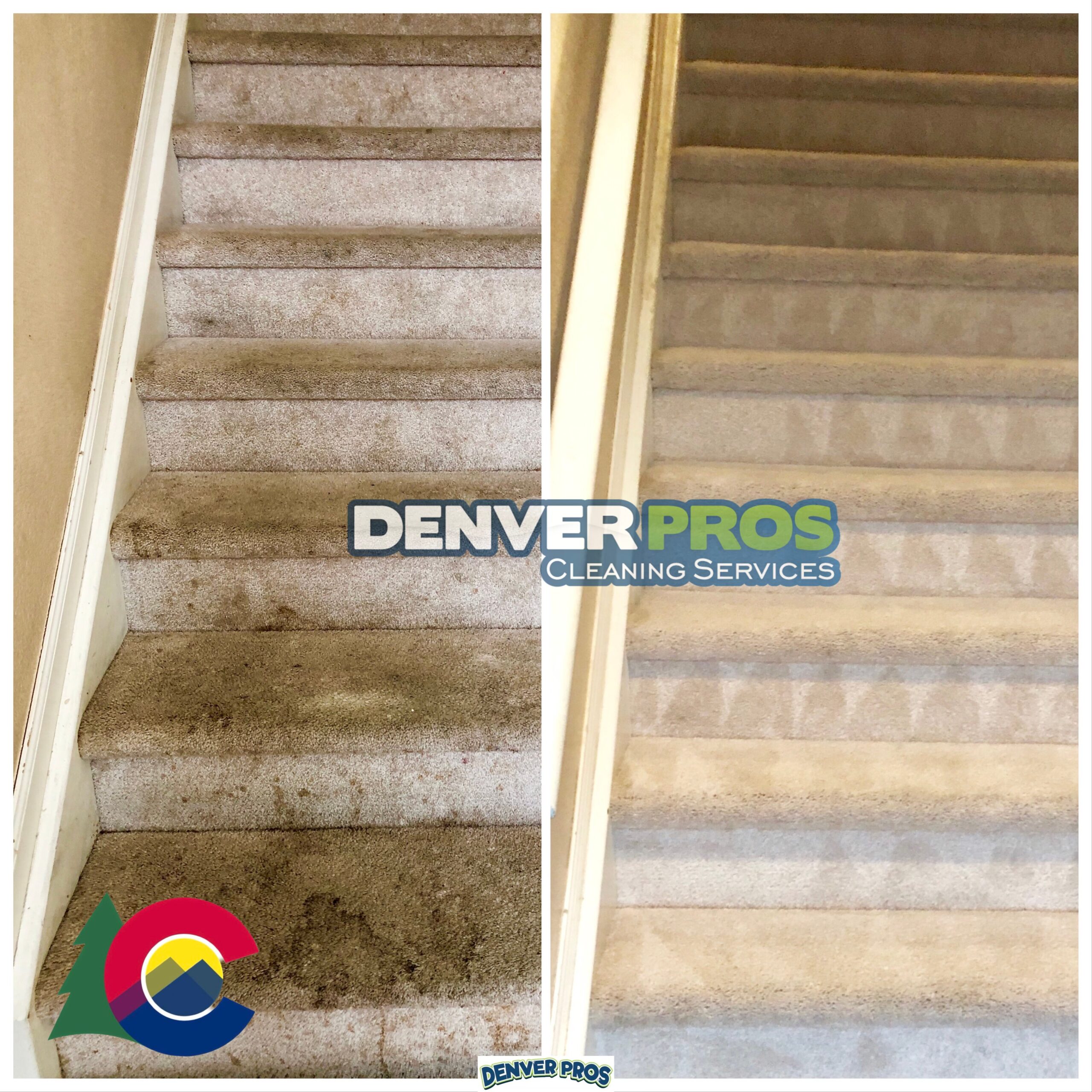 Carpet cleaning results from Denver Pros