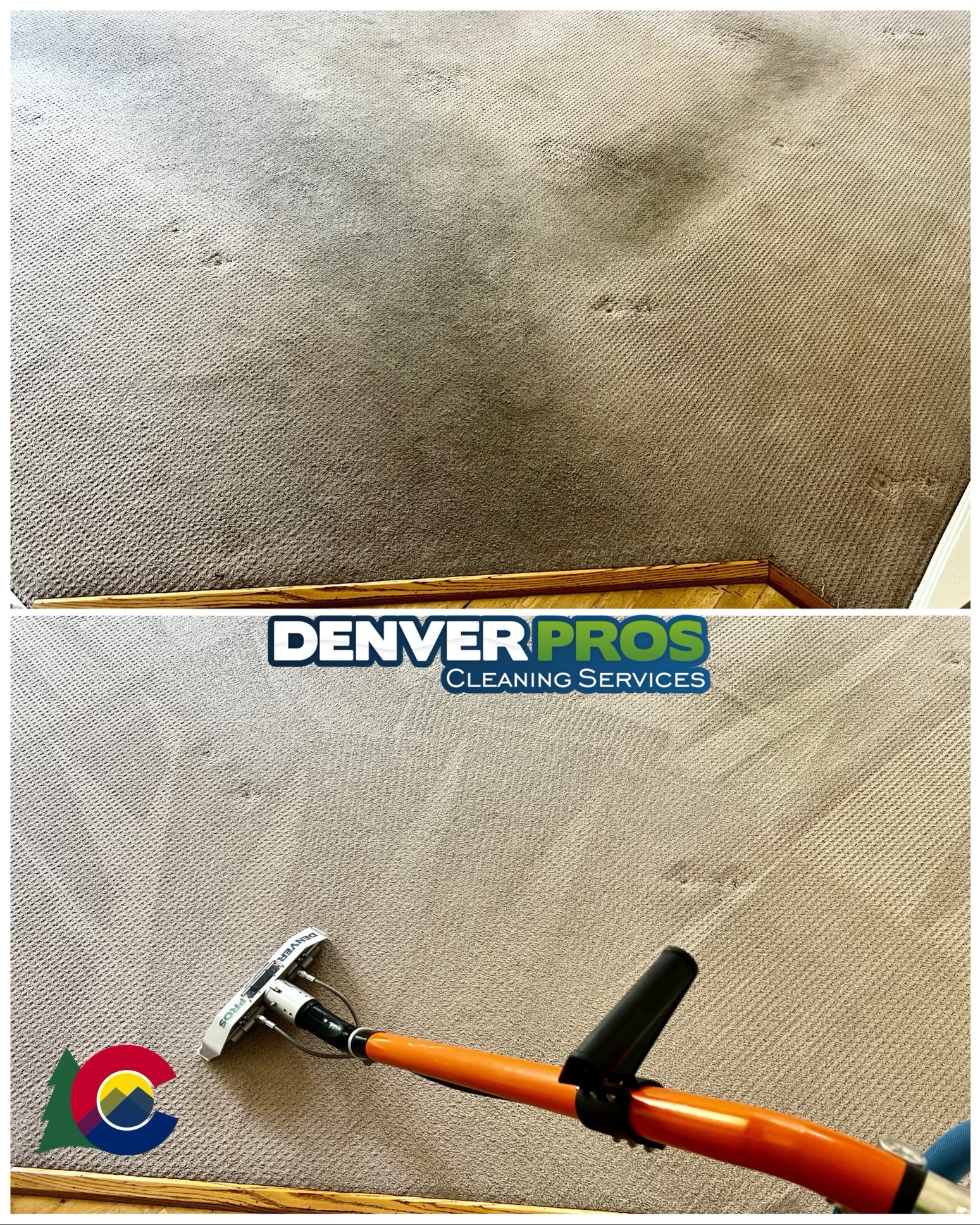 Carpet cleaning results by Denver Pros