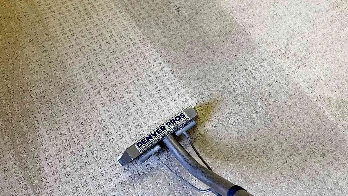 Denver Pros technician performing professional carpet cleaning