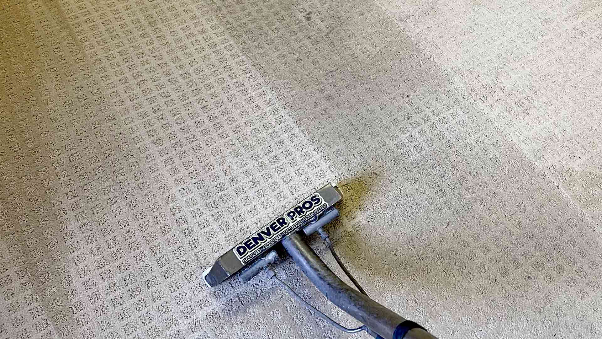 Denver Pros technician performing professional carpet cleaning in the Denver Metro area