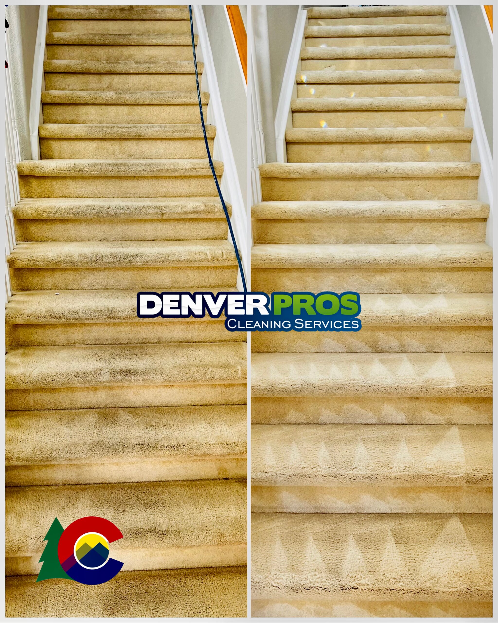 Carpet Cleaning In Greenwood Village Co