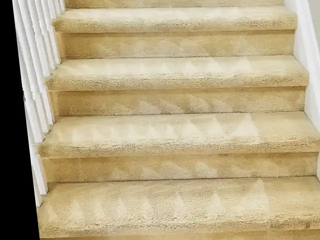 Stair carpet after professional cleaning by Denver Pros