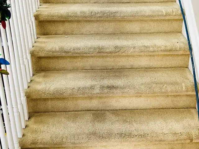 Stair carpet before cleaning, dirty traffic areas