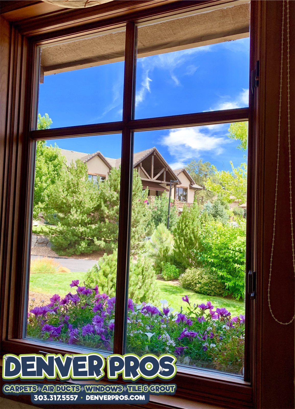 Streak-free window cleaning by Denver Pros, garden view from a Denver Metro home